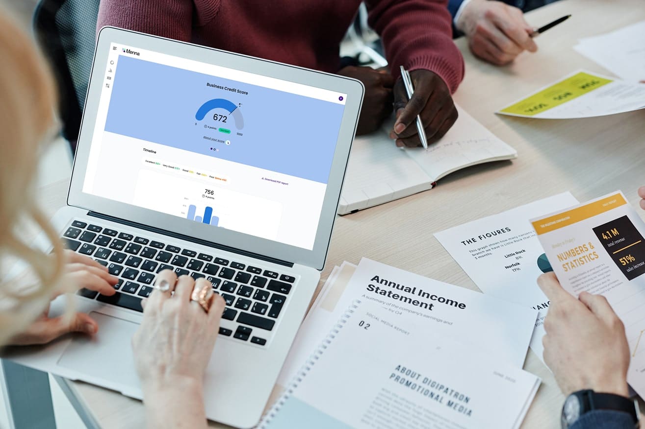 company credit checks on menna.ai