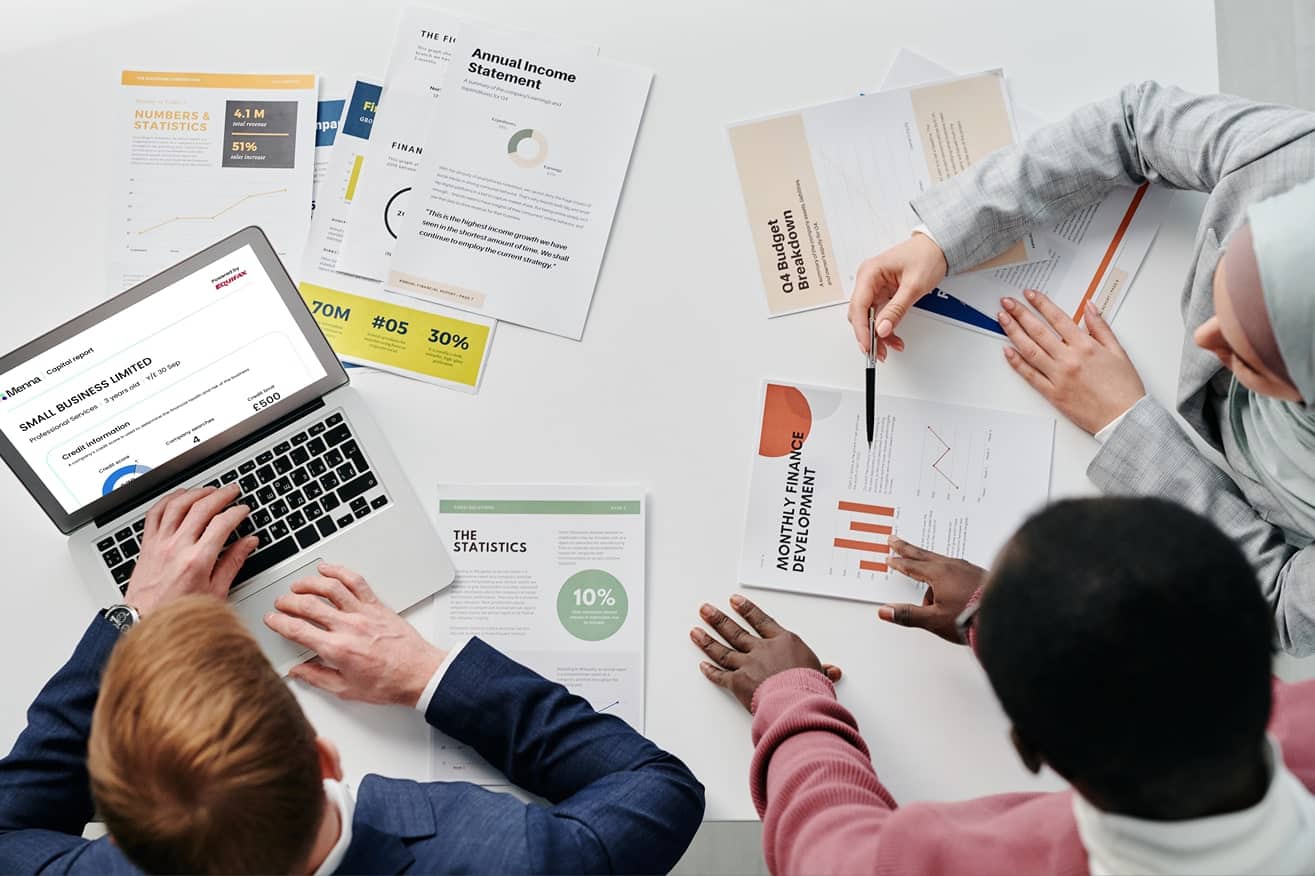 Menna.ai company credit checks dashboard